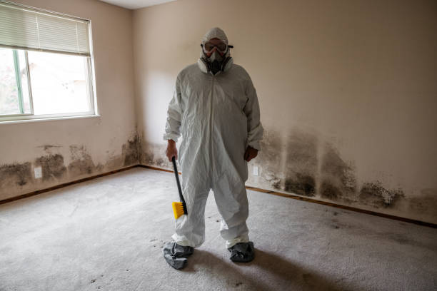 Best Crawl Space Mold Removal  in Spicer, MN